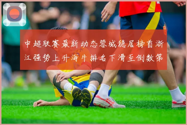 中超联赛最新动态蓉城稳居榜首浙江强势上升海牛排名下滑至倒数第三